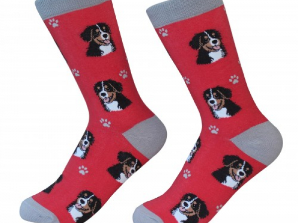 Bernese Mountain Dog socks cranberry corners gift shop dahlonega georgia