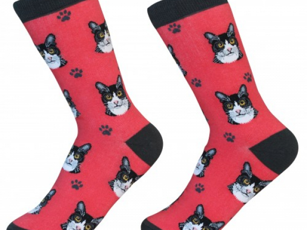 black and white cat cat Socks Cranberry Corners Gift Shop Dahlonega Georgia