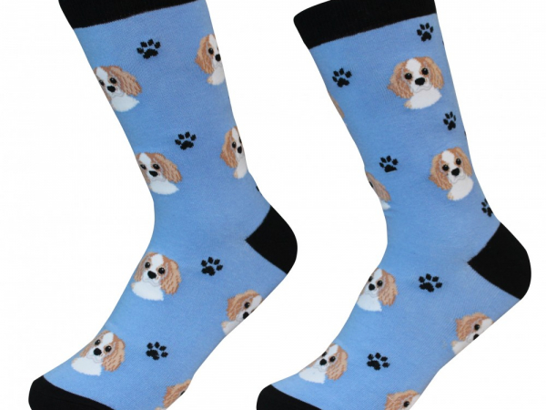 Cavalier King Charles Dog Socks Cranberry Corners Gift shop Dahlega Georgia