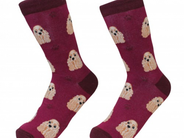 cocker spaniel dog socks cranberry corners gift shop dahlonega georiga