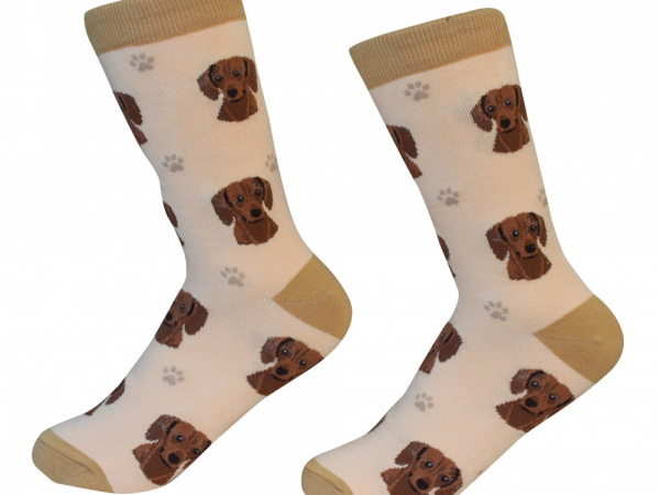 Dachshund Dog Socks Red Cranberry Corners Gift Shop Dahlonega Georgia