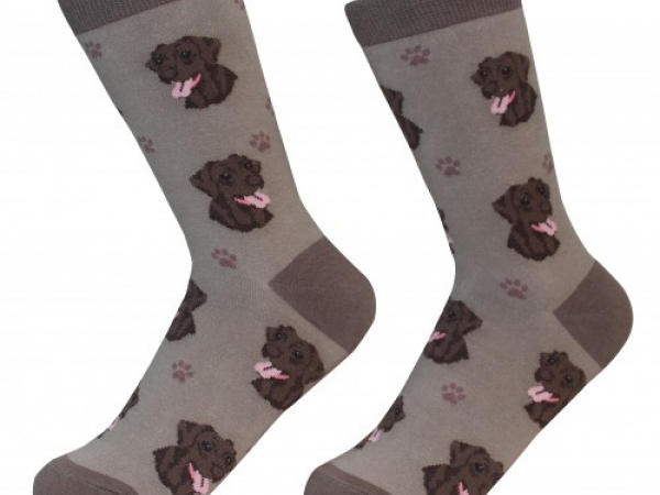 chocolate lab Dog Socks Cranberry Corners Gift Shop Dahlonega Georgia