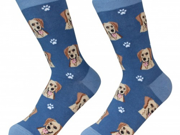 Golden Lab Dog Socks Cranberry Corners Gift Shop Dahlonega Georgia