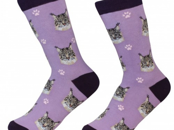 maine coon cat Socks Cranberry Corners Gift Shop Dahlonega Georgia