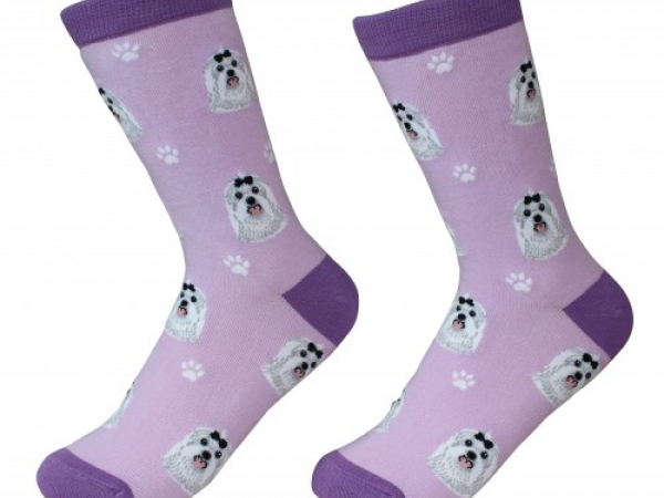 Maltese Dog Socks Cranberry Corners Gift Shop Dahlonega Georgia