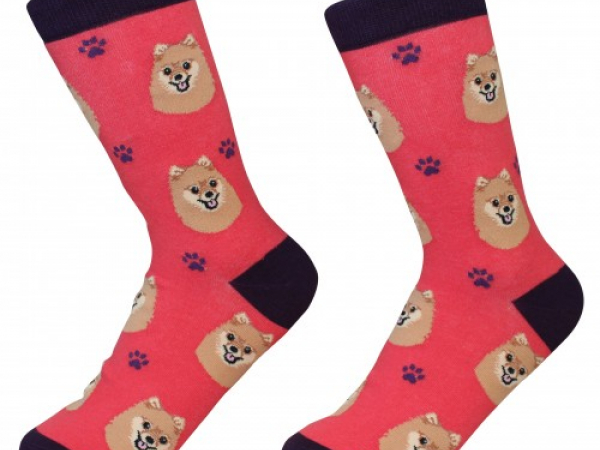 pomeranian Dog Socks Cranberry Corners Gift Shop Dahlonega Georgia