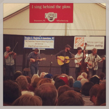 Dahlonega's Bear on the Square Festival